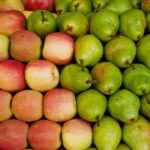 Nutritionnistes : Quel fruit est le plus riche en nutriments ?