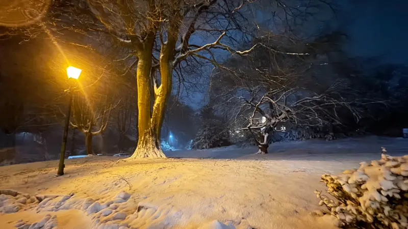 Scène enneigée à Buxton, avec un lampadaire illuminant d'un côté et une couche de neige autour de plusieurs arbres.
