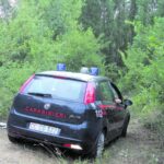 Trois cadavres dans les bois : le mystère des chasseurs