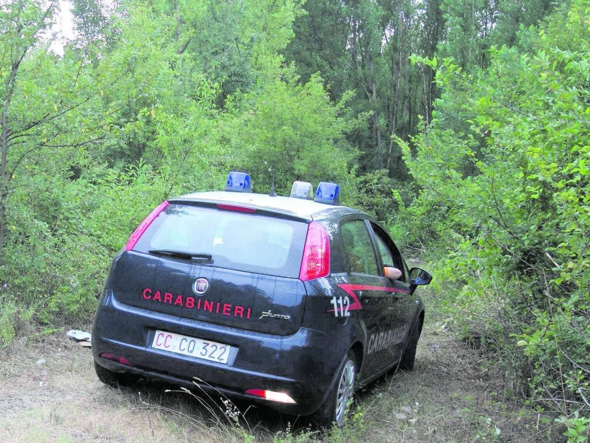 Trois cadavres dans les bois : le mystère des chasseurs