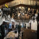 Destruction d'une plantation de cannabis et d'un laboratoire de hachisch à Marratxí, consommation électrique d'une quinzaine de foyers!