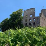 Acquisition réussie : La Strahlenburg entre dans les mains des citoyens !