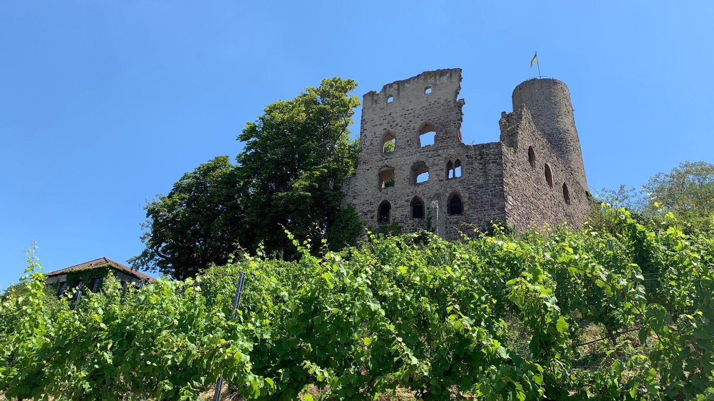 Acquisition réussie : La Strahlenburg entre dans les mains des citoyens !