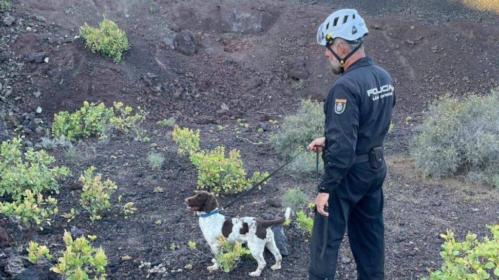 Rony, le chien policier qui a retrouvé le corps d'un homme disparu à Telde