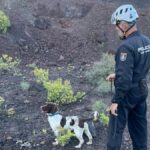 Rony, le chien policier qui a retrouvé le corps d'un homme disparu à Telde