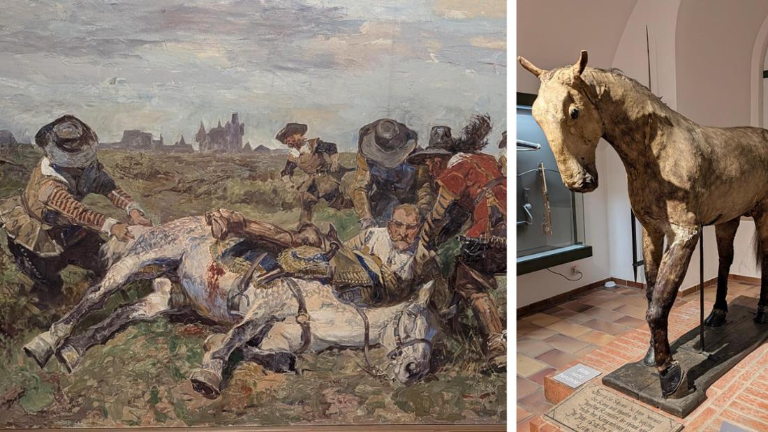 Le cheval du roi suédois