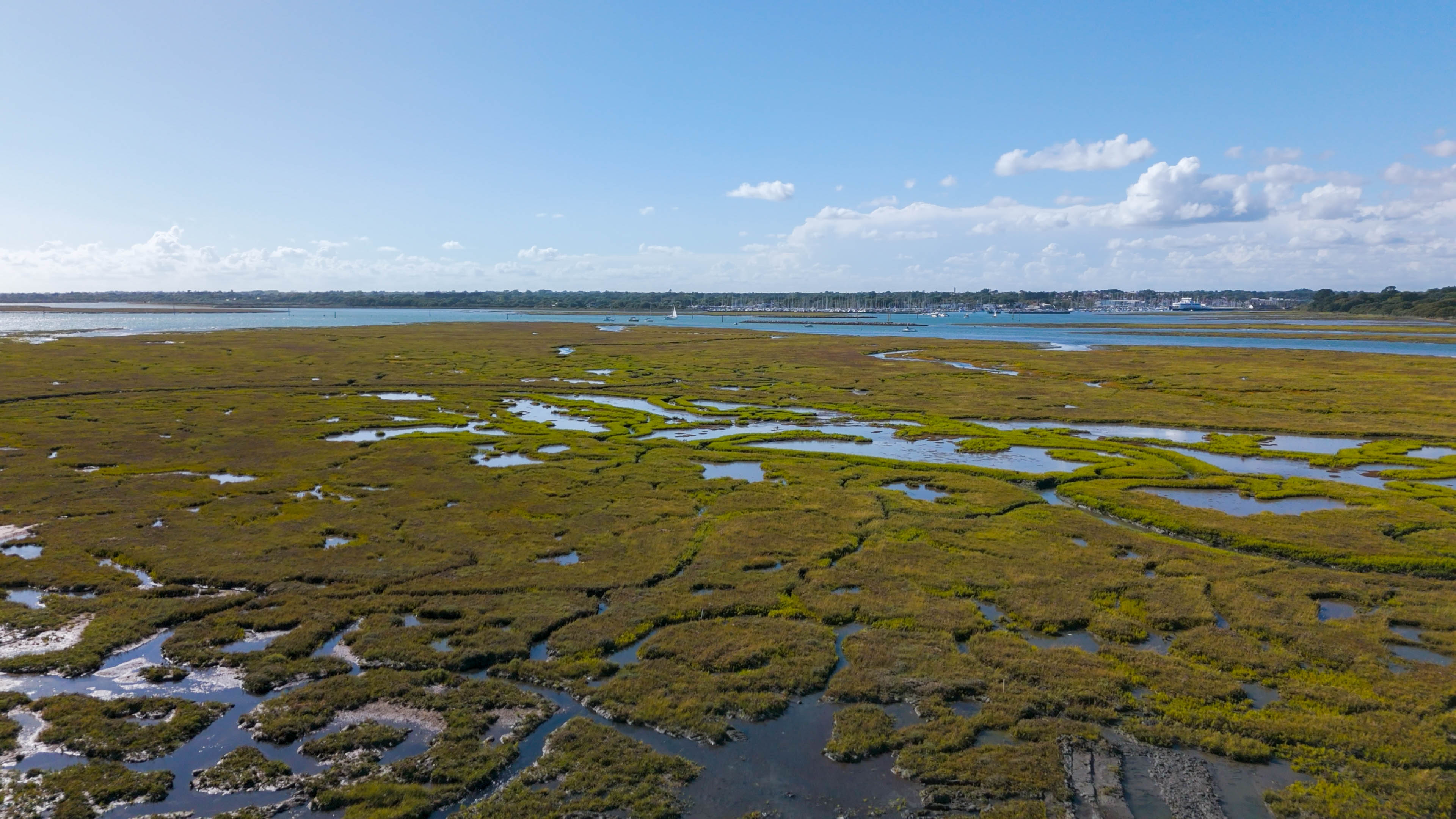 Vue aérienne des marais salants avec végétation.
