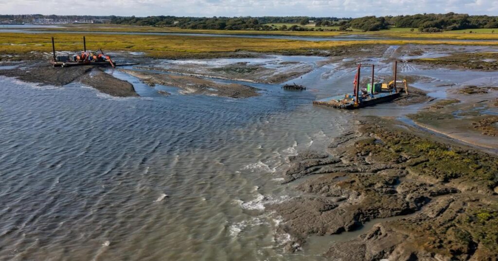 Boue dragée des ports : une restauration impressionnante des marais salants protecteurs