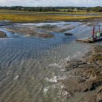 Boue dragée des ports : une restauration impressionnante des marais salants protecteurs