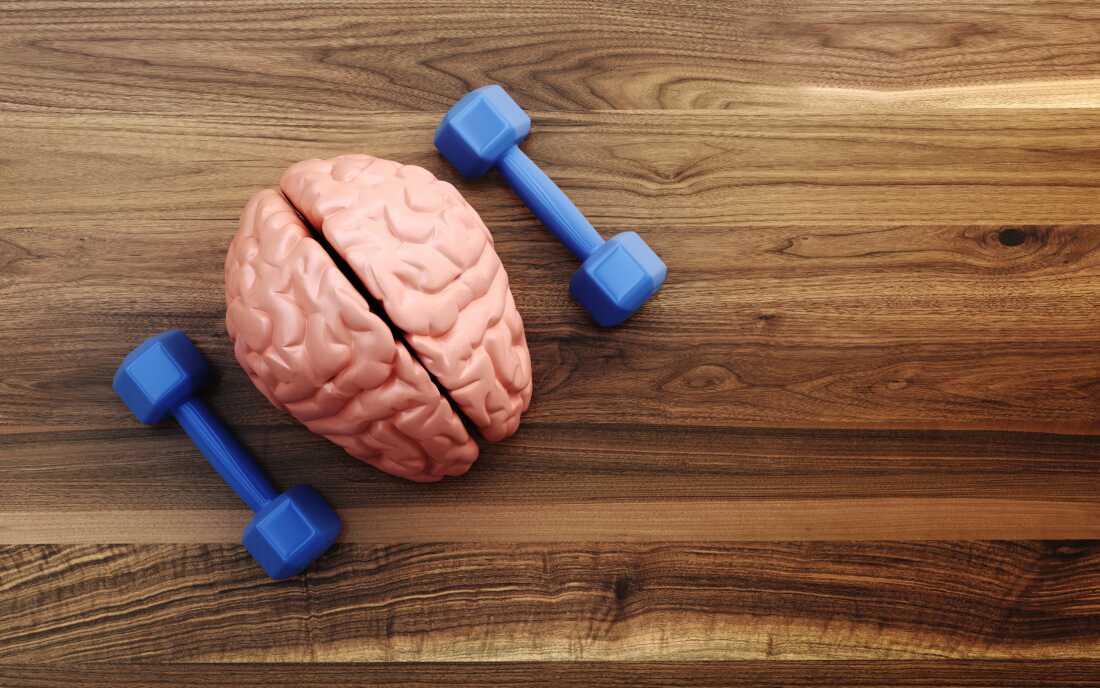 Ce photo, prise d'en haut, montre une table en bois, sur laquelle se trouve un modèle du cerveau humain rose et un petit haltère bleu de chaque côté.