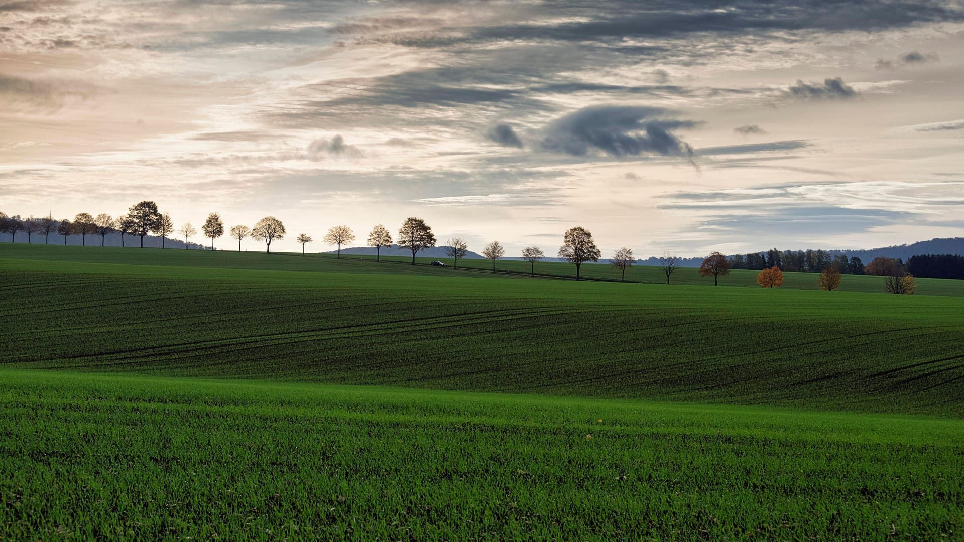 Une vue des collines douces Une vue des collines douces