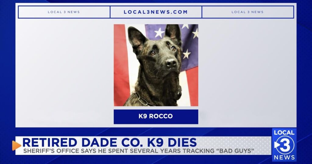 Le Bureau du shérif du comté de Dade pleure la perte du K9 Rocco