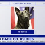 Le Bureau du shérif du comté de Dade pleure la perte du K9 Rocco