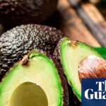 Les avocats : incontournables du Super Bowl, mais sont-ils vraiment des aliments miracles ?