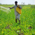 Sols appauvris : les nutriments de notre nourriture en péril