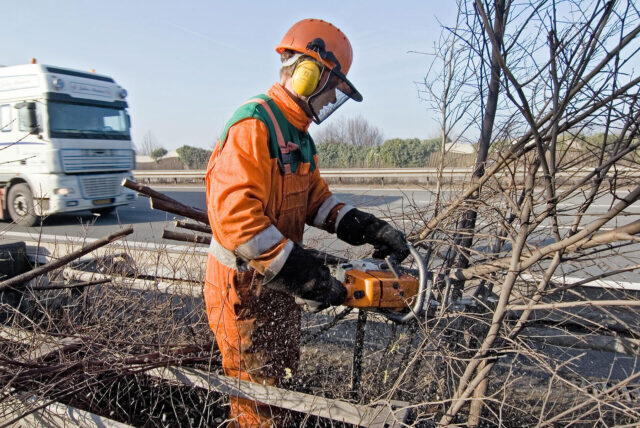 Travailleurs utilisant une tronçonneuse pour couper des branches au bord de la route