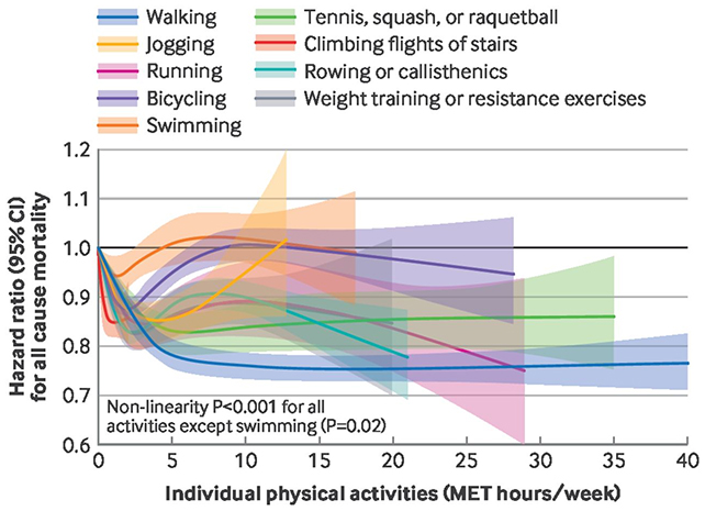 Graphique des exercices
