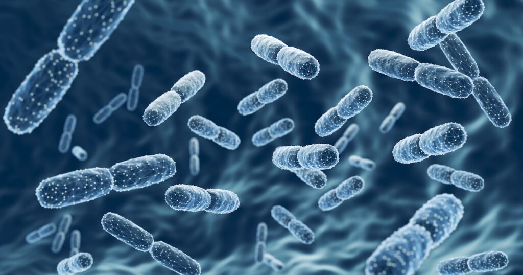Vitaquest double sa capacité de probiotiques avec une nouvelle usine au New Jersey