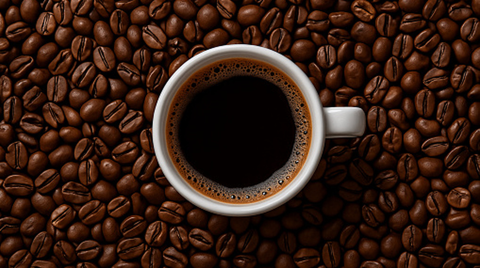 Le café est-il vraiment nutritif ? Découvrez les révélations scientifiques !