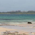 Touristes britanniques noyés à la plage australienne après leur sauvetage par des baigneurs