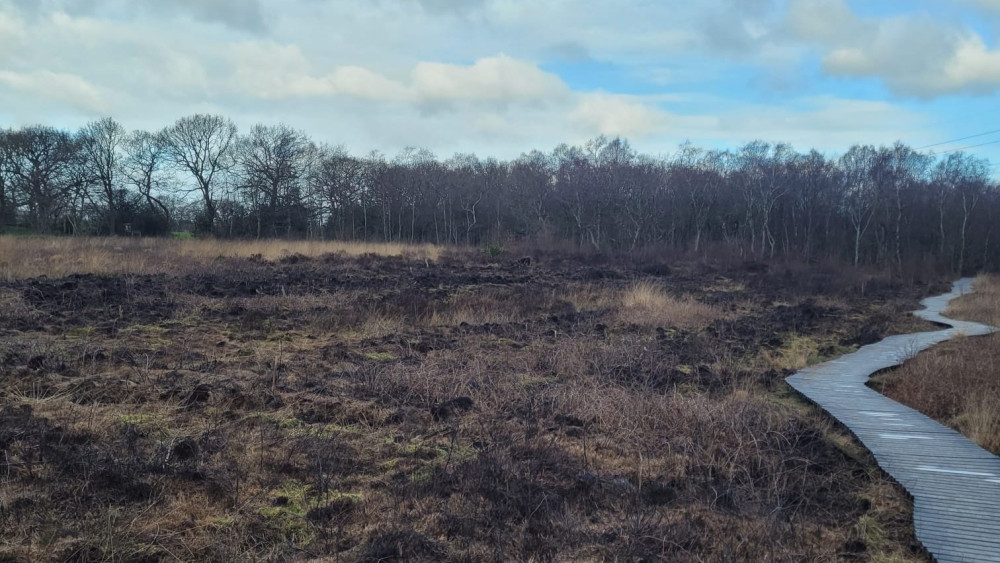 Incendie accidentel déclenche un impressionnant feu de forêt à la réserve naturelle de Danes Moss
