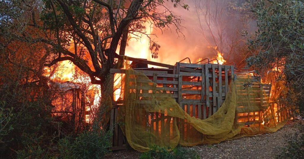 Incendie à Palma : l'auteur interpellé !