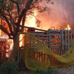 Incendie à Palma : l'auteur interpellé !
