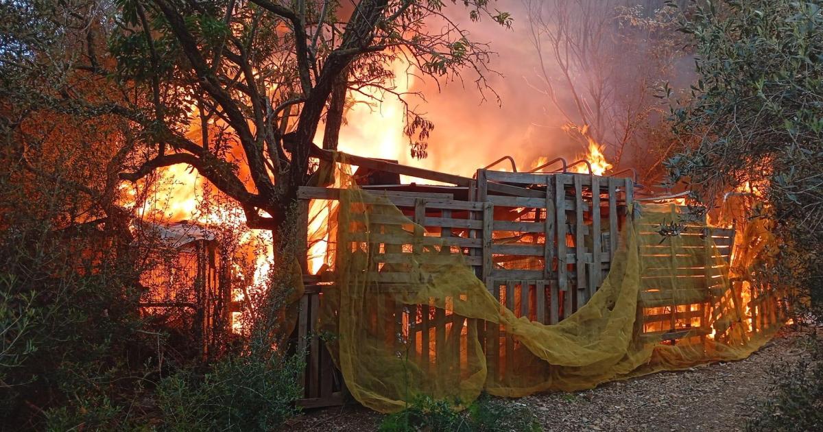 Incendie à Palma : l'auteur interpellé !