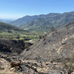 Visite du président de la Diputación au cœur de l'incendie de Los Guájares