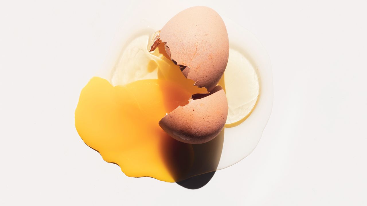 19 Aliments Plus Riches en Protéines que les Œufs