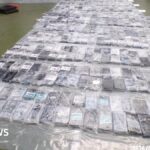 Cocaïne de 80 millions de livres découverte dans un chargement de céramiques à Thurrock