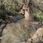 Colère face au projet de déverser des eaux usées dans le ruisseau de Whitnash