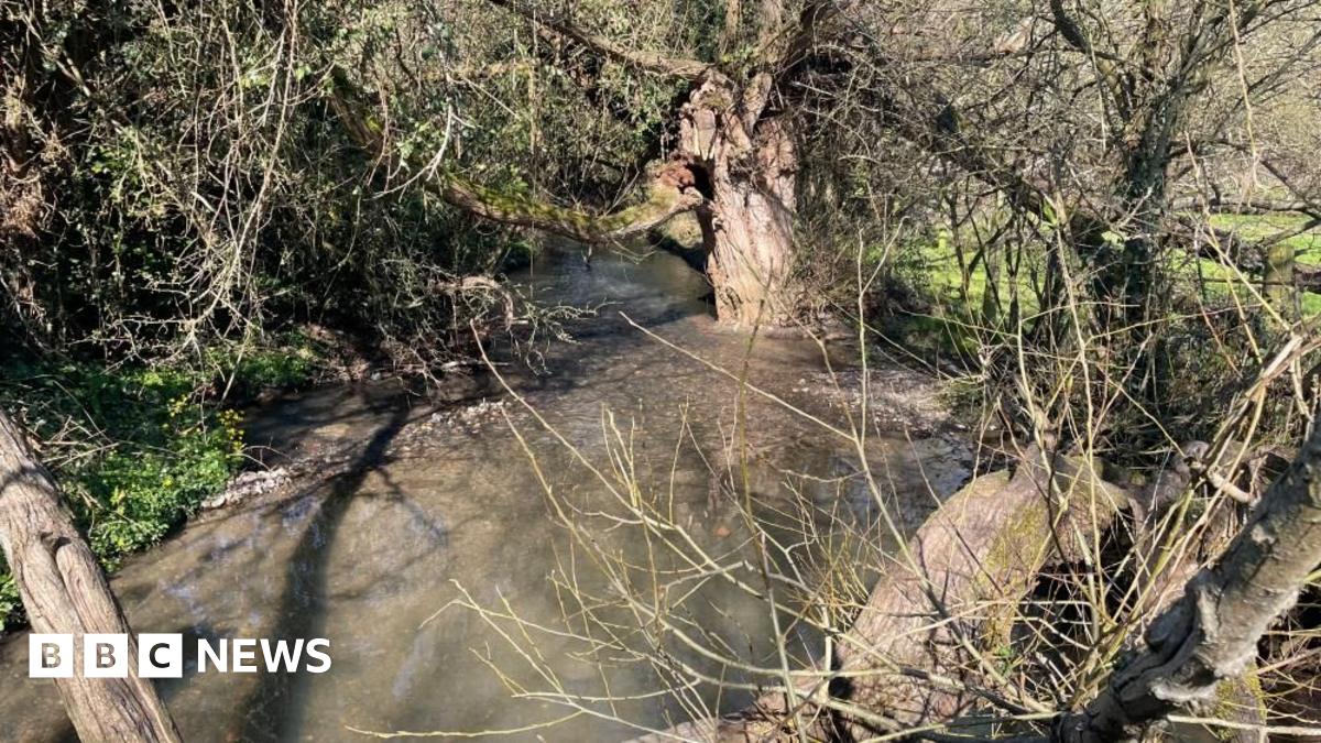 Colère face au projet de déverser des eaux usées dans le ruisseau de Whitnash