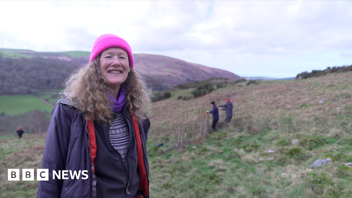 Des villageois de Ceredigion plantent 50 000 arbres pour protéger leurs foyers des inondations