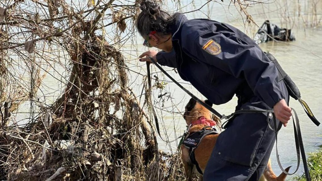 Disparitions mystérieuses : 47 cas non résolus en Aragón sur une carte captivante
