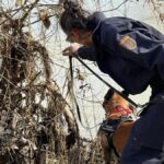Disparitions mystérieuses : 47 cas non résolus en Aragón sur une carte captivante