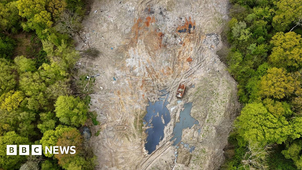 La lutte contre les crimes environnementaux : agir sans attendre
