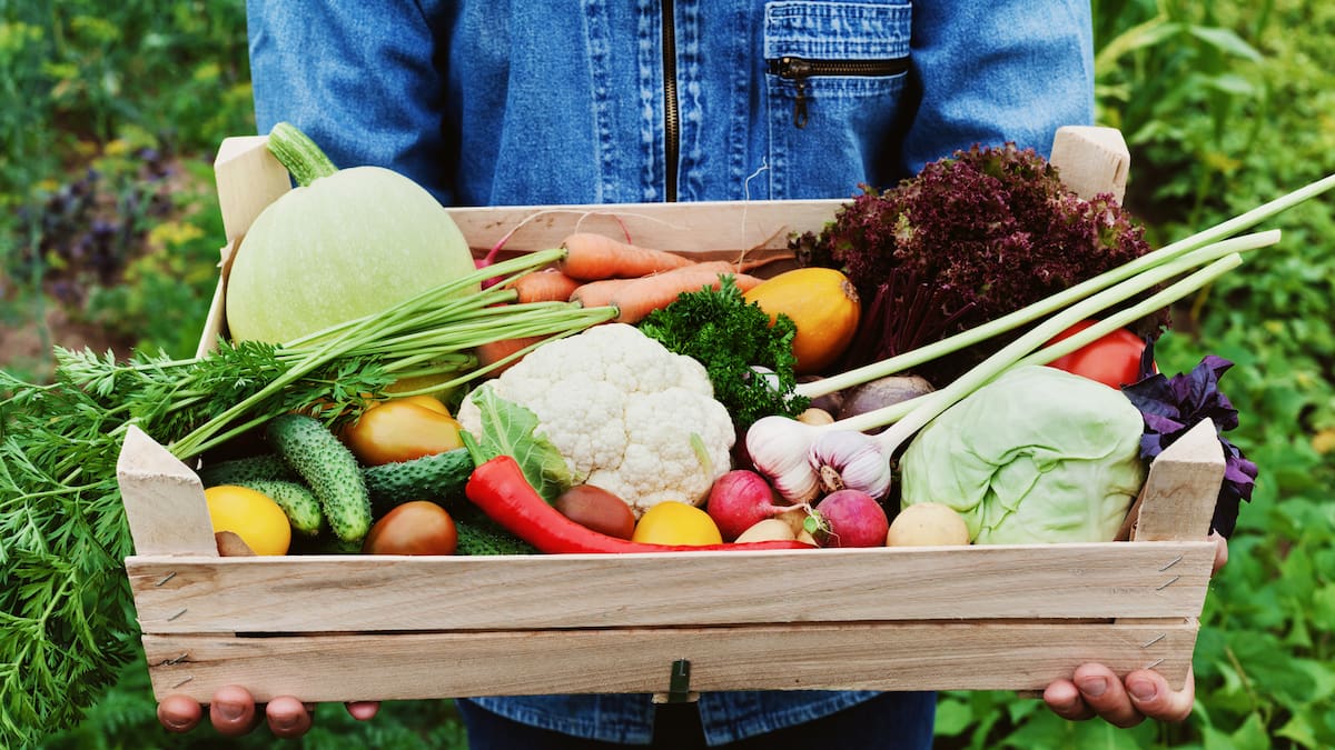 Prix des aliments : Qui profite vraiment de notre assiette ?