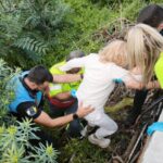 Puerto de la Cruz : Événements Sensationnels