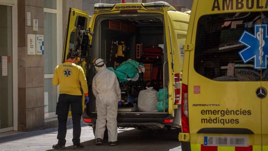 Tragique accident à Vallgorguina : un motard heurté par un chevreuil perd la vie