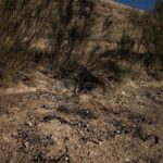 Trois suspects du crime de Plasencia de Jalón écopent d'une détention provisoire