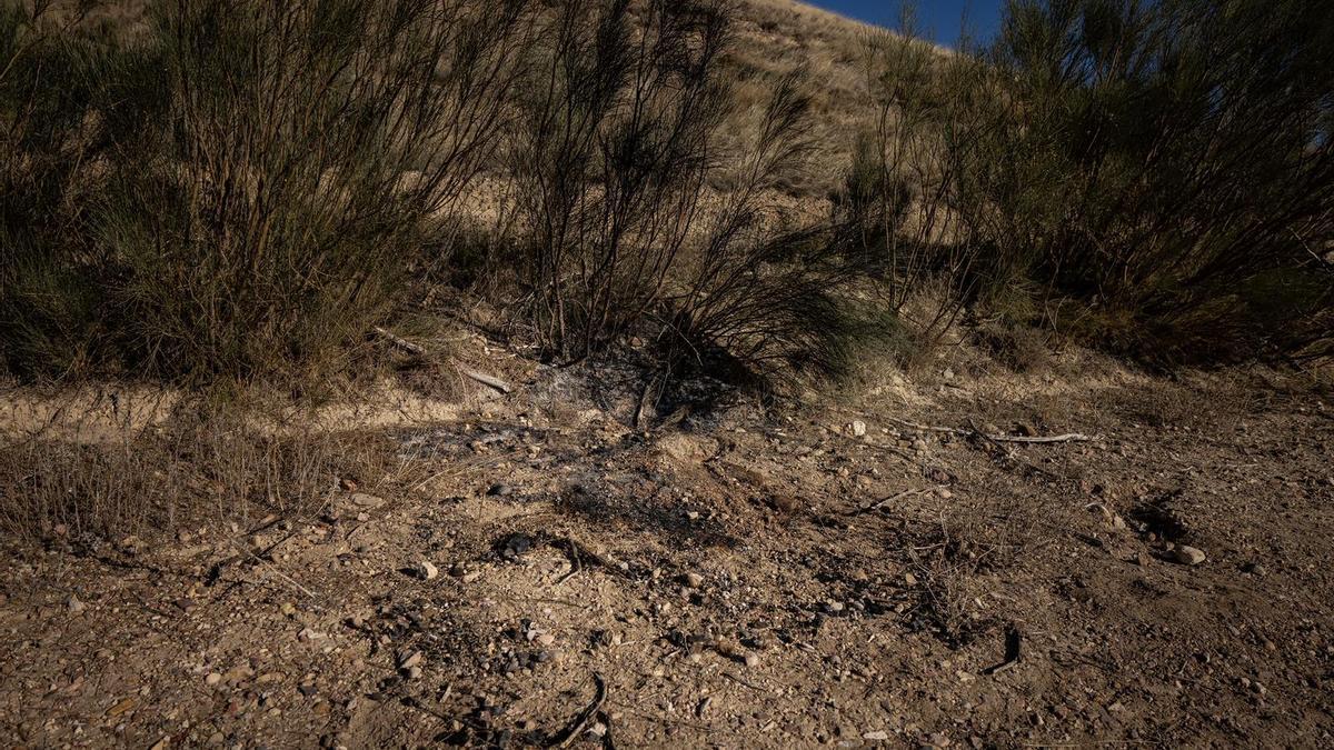 Trois suspects du crime de Plasencia de Jalón écopent d'une détention provisoire