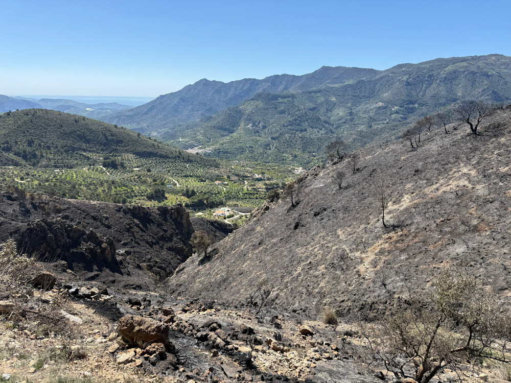 Zone impactée par l'incendie à Los Guájares, désormais maîtrisé. Zone impactée par l'incendie à Los Guájares, désormais maîtrisé.