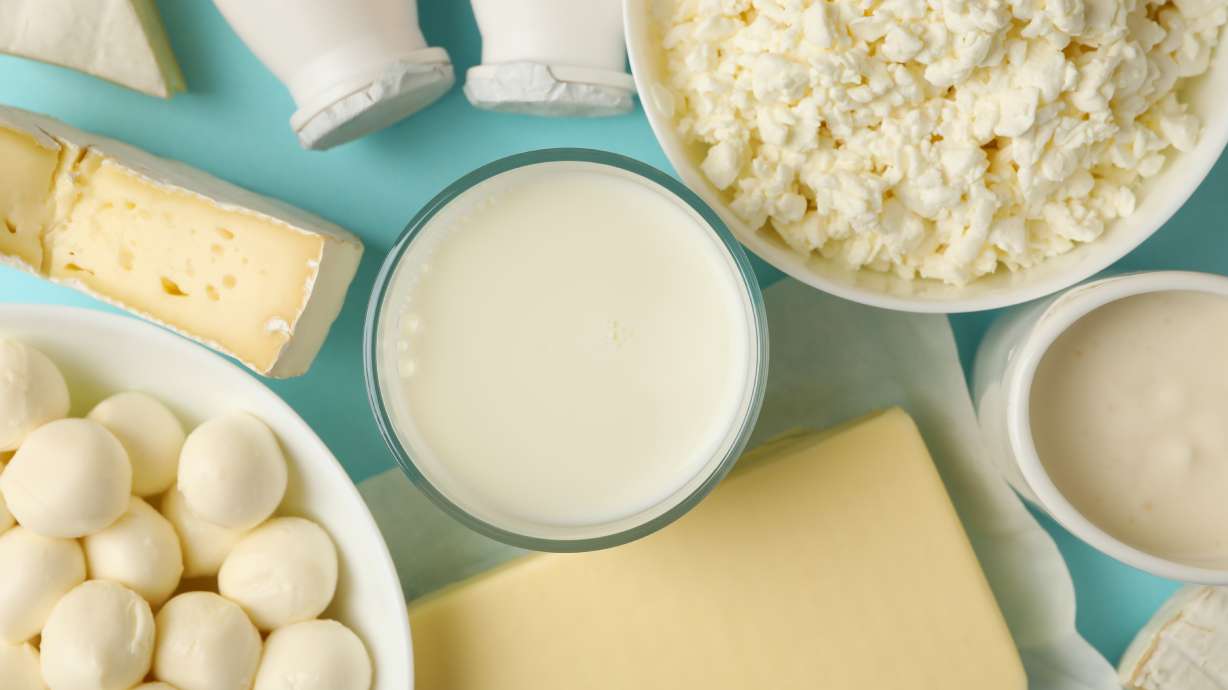 L'avantage protéiné : Pourquoi les produits laitiers sont un choix nutritif et intelligent