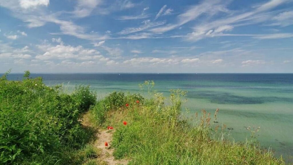 Ostsee : la nature à l'état pur en Nord-Ouest de Mecklembourg