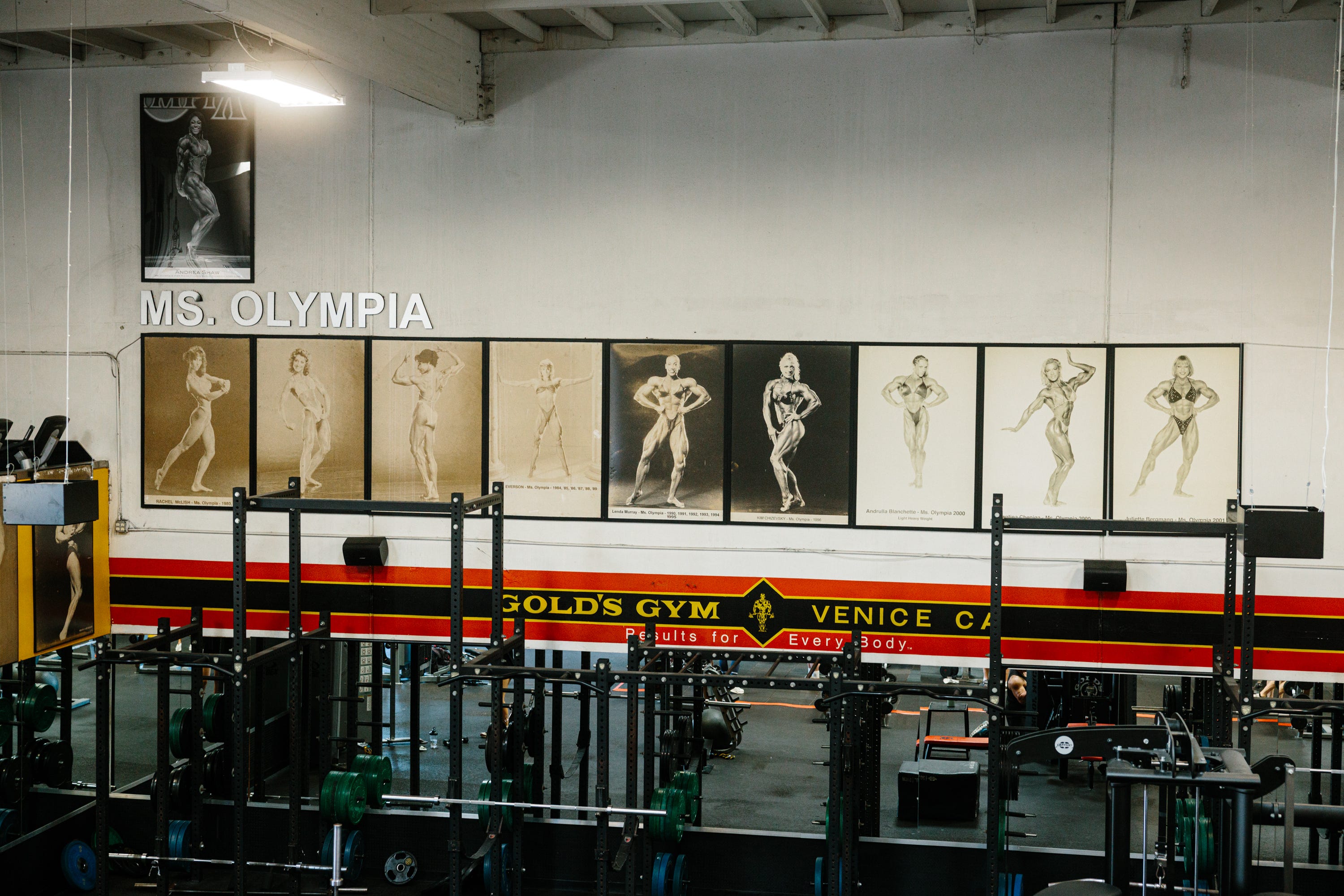 Photos des gagnantes de Ms. Olympia, la compétition de culturisme féminin la plus prestigieuse, décorent un mur de Gold's Gym à Venice, Californie.