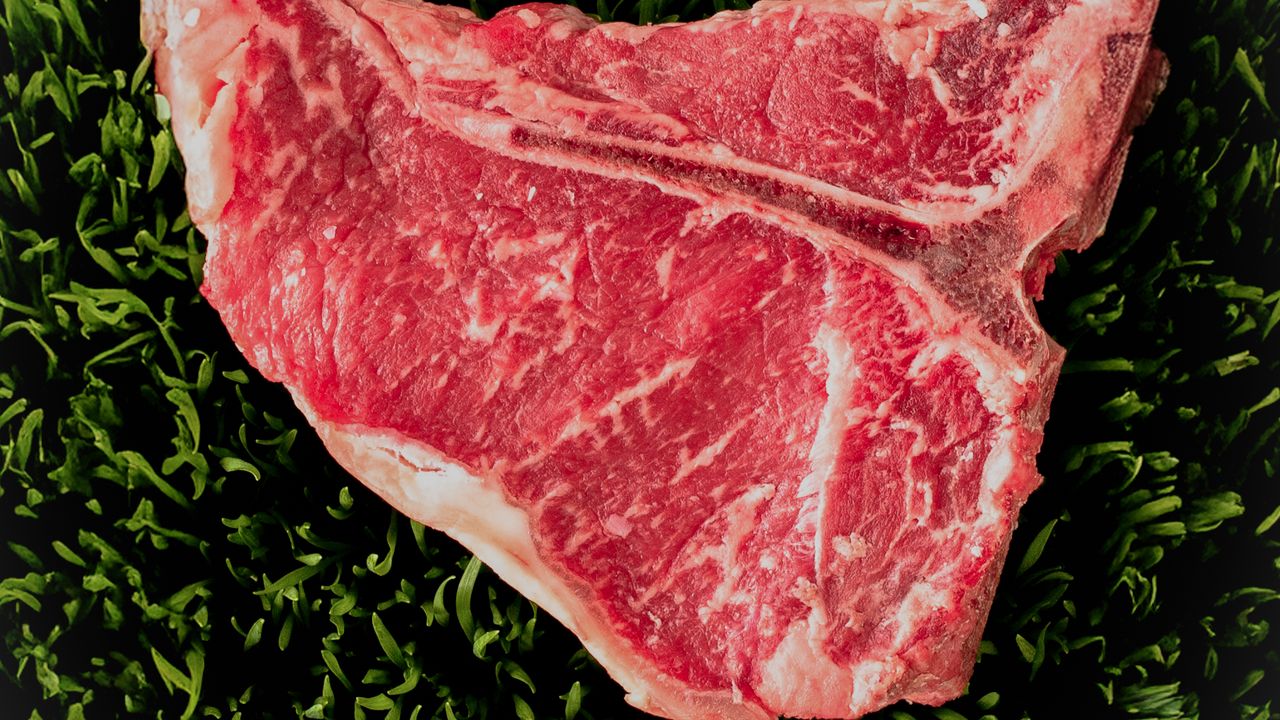 9 Aliments Plus Riches en Protéines que le Steak