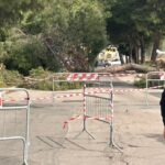 Alicia Amoruso : tragiquement fauchée par un arbre à Bisceglie à seulement 12 ans