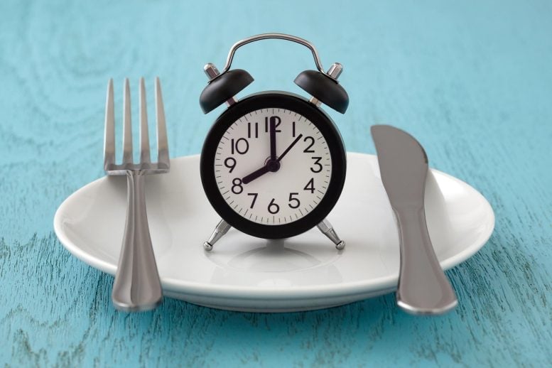 Concept de Planification de Repas pour le Jeûne Intermittent