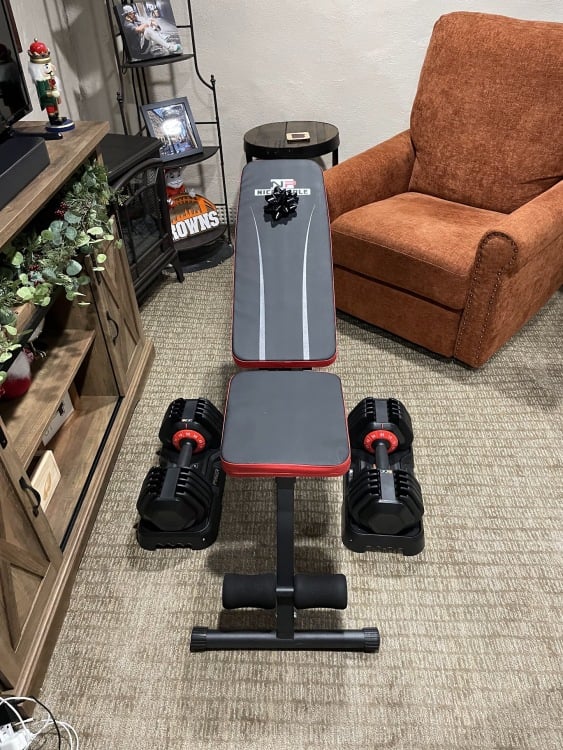 Un banc de musculation pliable et une paire d'haltères ajustables dans un sous-sol
